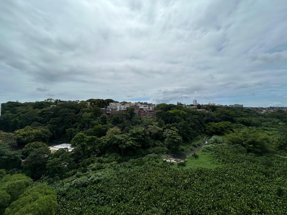 Apartamento - Venda - Narandiba - Salvador - BA